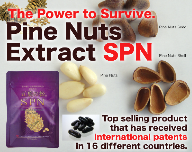 Spn Pine Nuts Extract Of Pe Japan English Site